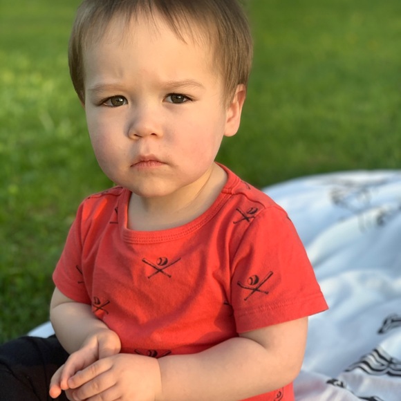 Meet your Posher, Misha - Picture 2 of 3